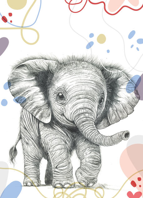 Baby Elephant