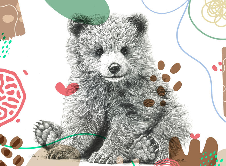 Baby Bear